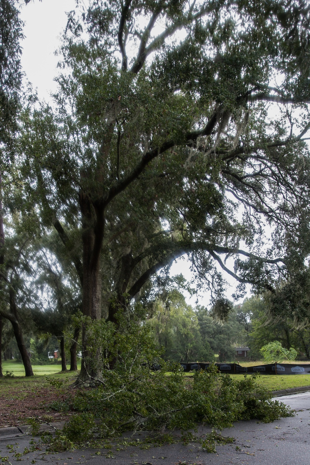 Hurricane Irma Recovery