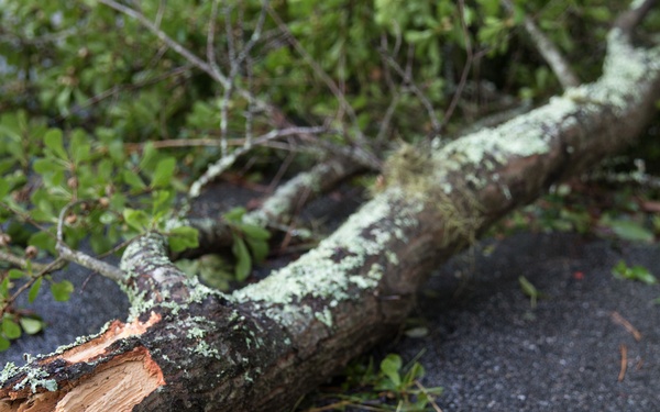 Hurricane Irma Recovery
