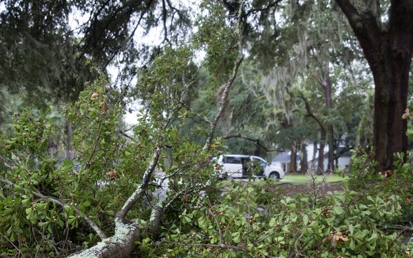 Hurricane Irma Recovery