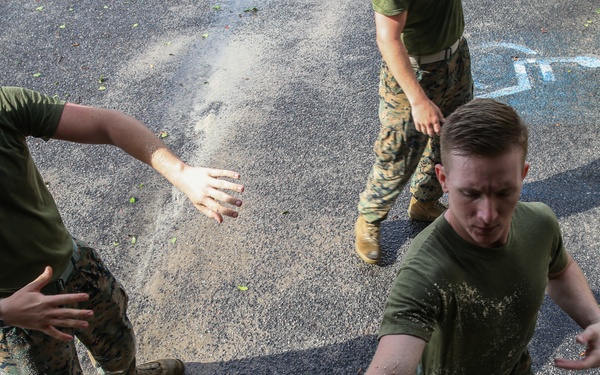 Hurricane Irma Recovery