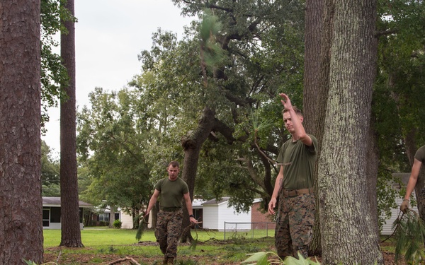 Hurricane Irma Recovery