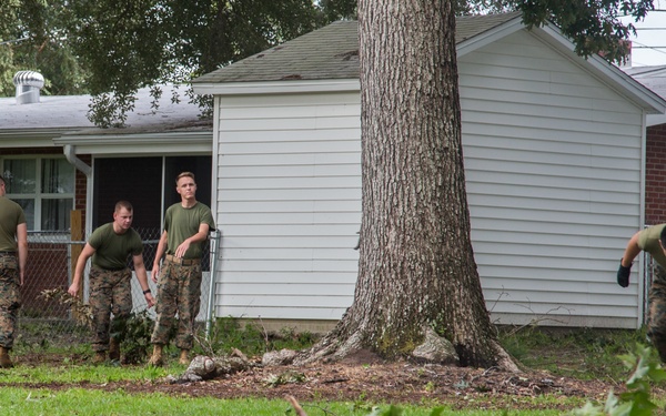 Hurricane Irma Recovery