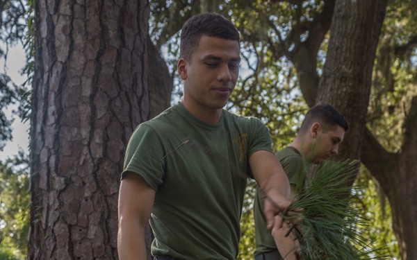 Hurricane Irma Recovery