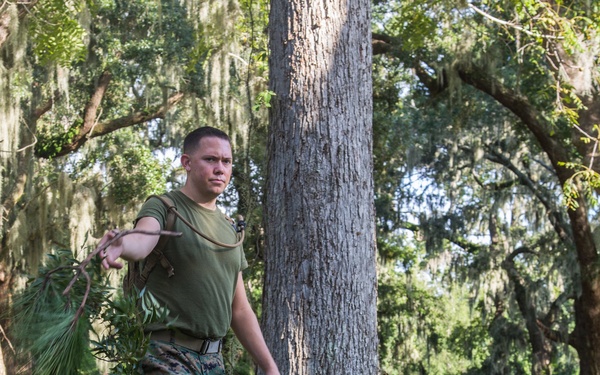 Hurricane Irma Recovery