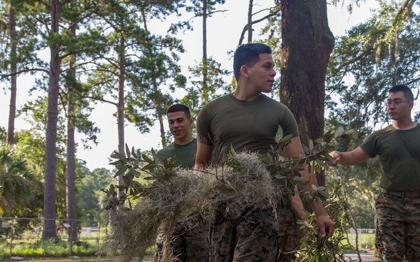 Hurricane Irma Recovery