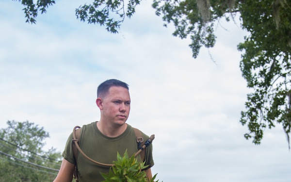 Hurricane Irma Recovery