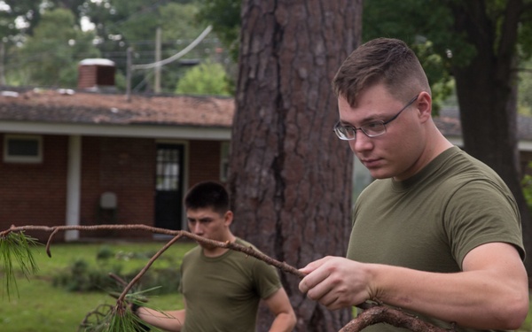 Hurricane Irma Recovery