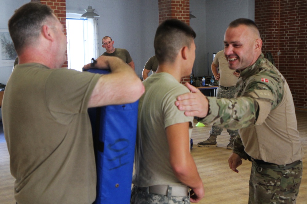 Michigan Army National Guard Company B, 1st Battalion, 125th Infantry Regiment conducts hand-to-hand combat training at Exercise Viking Star 2017 in Denmark