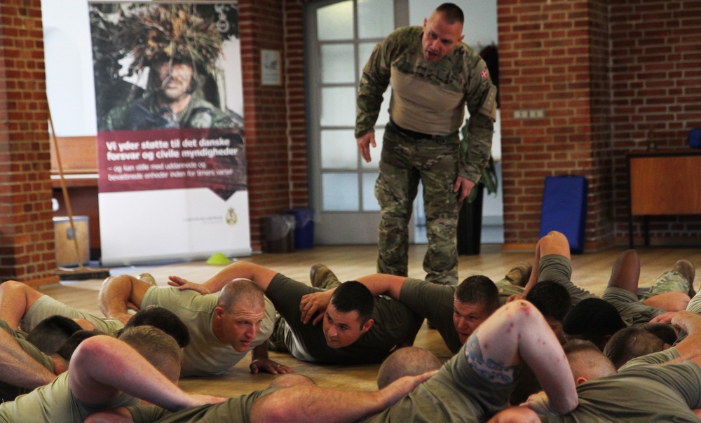 Michigan Army National Guard Company B, 1st Battalion, 125th Infantry Regiment conducts hand-to-hand combat training at Exercise Viking Star 2017 in Denmark