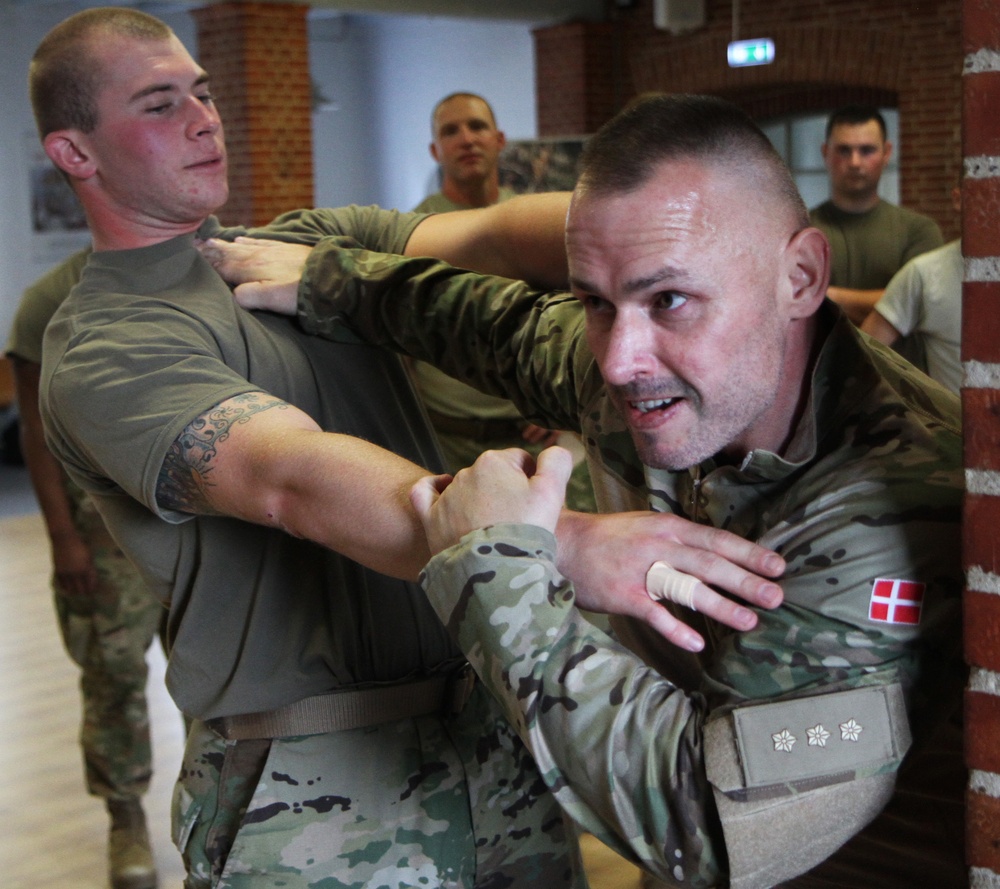 Michigan Army National Guard Company B, 1st Battalion, 125th Infantry Regiment conducts hand-to-hand-combat training at Exercise Viking Star in Denmark