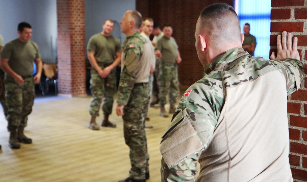 Michigan Army National Guard Company B, 1st Battalion, 125th Infantry Regiment conducts hand-to-hand combat training at Viking Star 2017 in Denmark