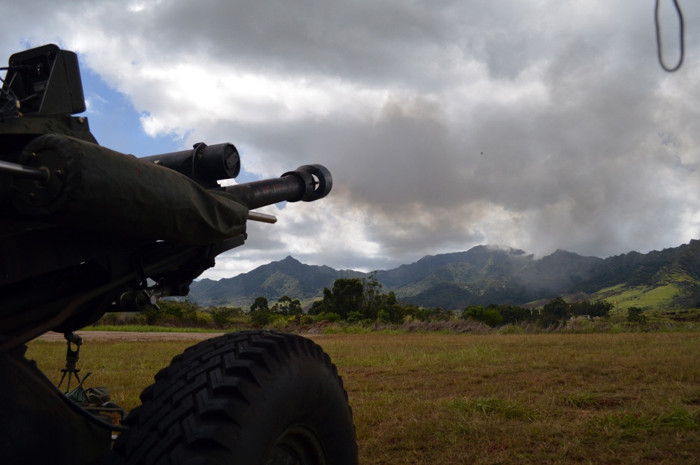 New Zealand, US artillerists fire during Bronco Strike