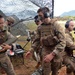 New Zealand, US artillerists fire during Bronco Strike