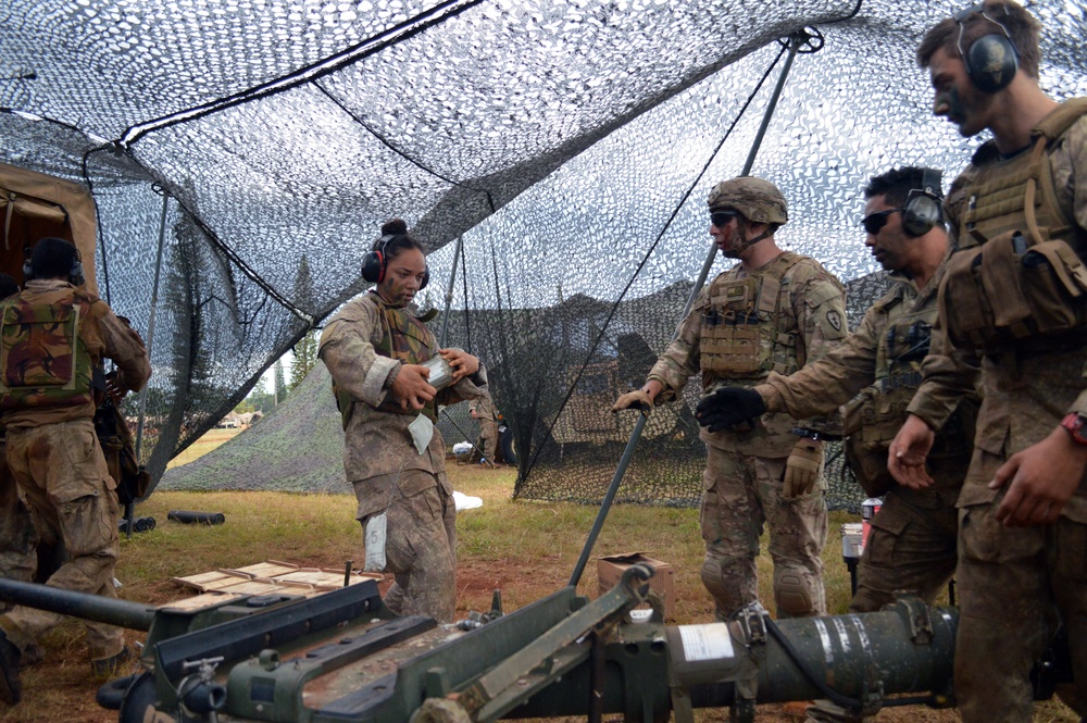New Zealand, US artillerists fire during Bronco Strike