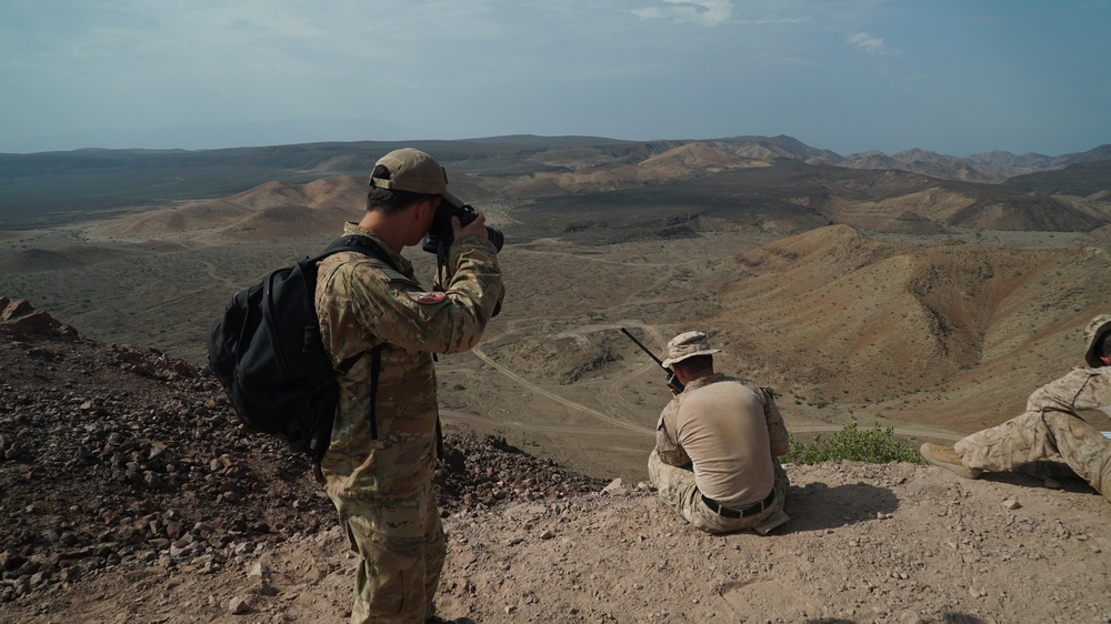 Alligator Dagger 2017