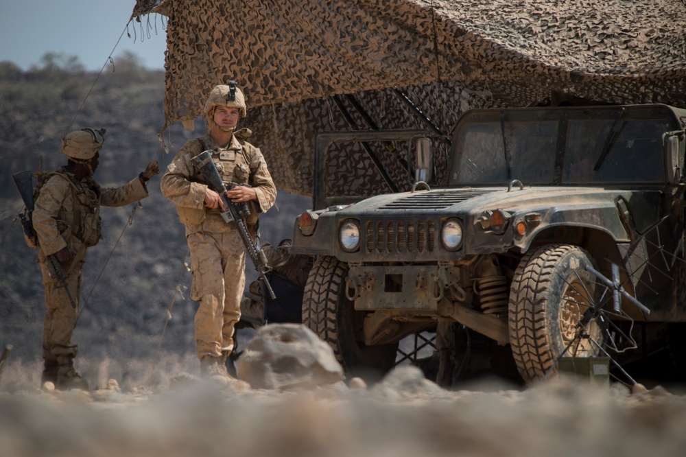 Naval Amphibious Forces, Task Force 51/5th MEU utilize the Horn of Africa terrain for Alligator Dagger exercise