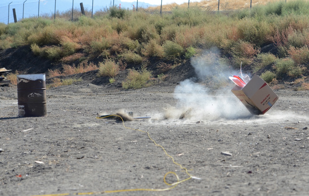 Beale EOD participates in Urban Shield