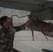 Afghan Airmen load munitions onto A-29 Super Tucano
