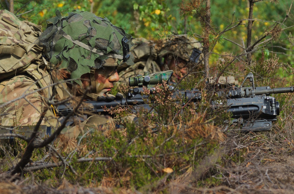 US, British forces showcase skills in Estonia