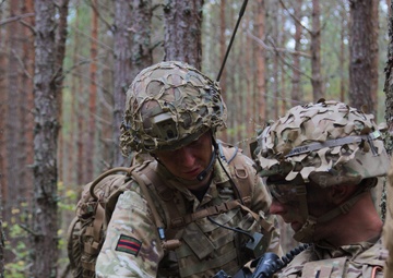 US, British forces showcase skills in Estonia