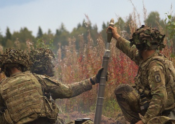 US, British forces showcase skills in Estonia