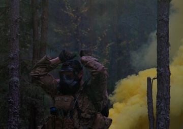 US, British forces showcase skills in Estonia