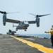 USS America Sailor directs MV-22 Osprey
