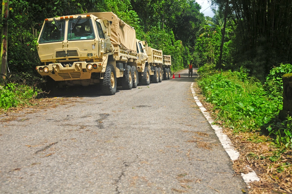 Road Clearance after Hurricane Irma