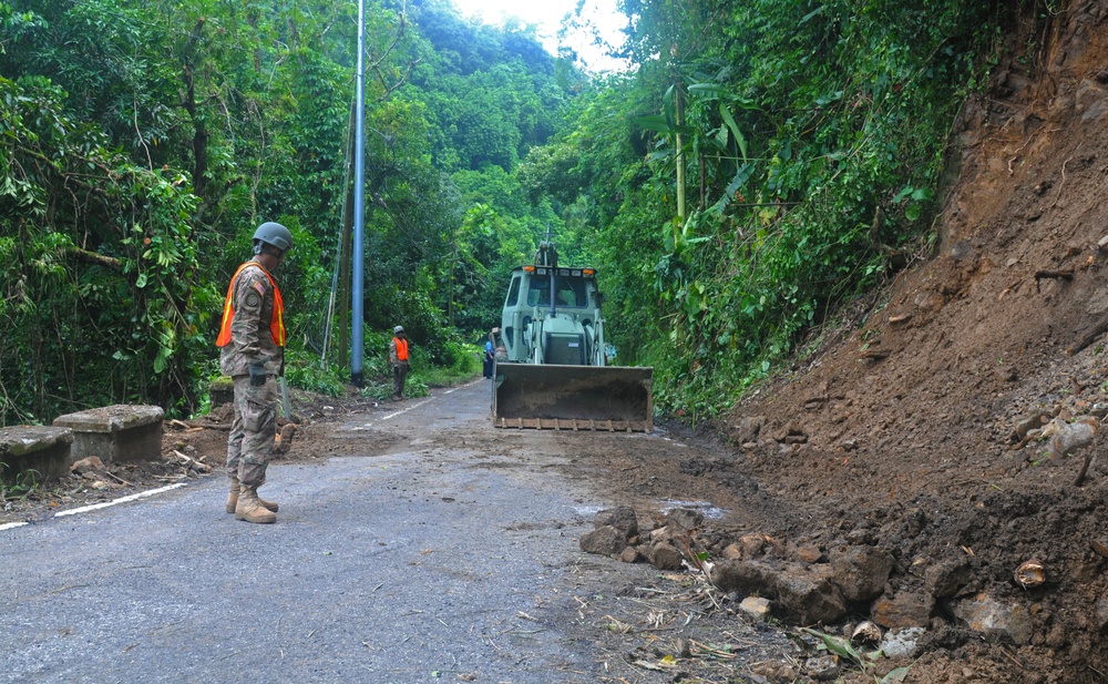 Road Clearance after Hurricane Irma