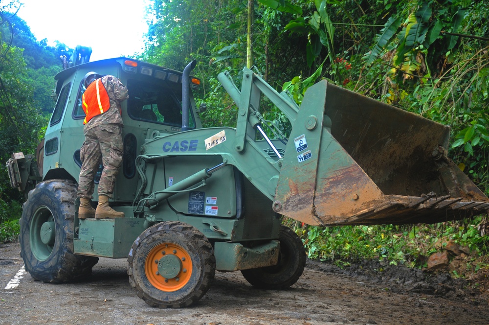 Road Clearance after Hurricane Irma