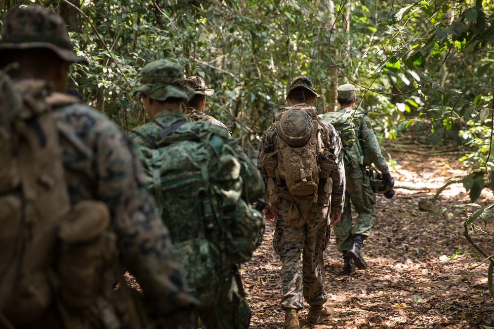 Valiant Mark 2017: U.S. Marines and SAF Navigate the Jungle