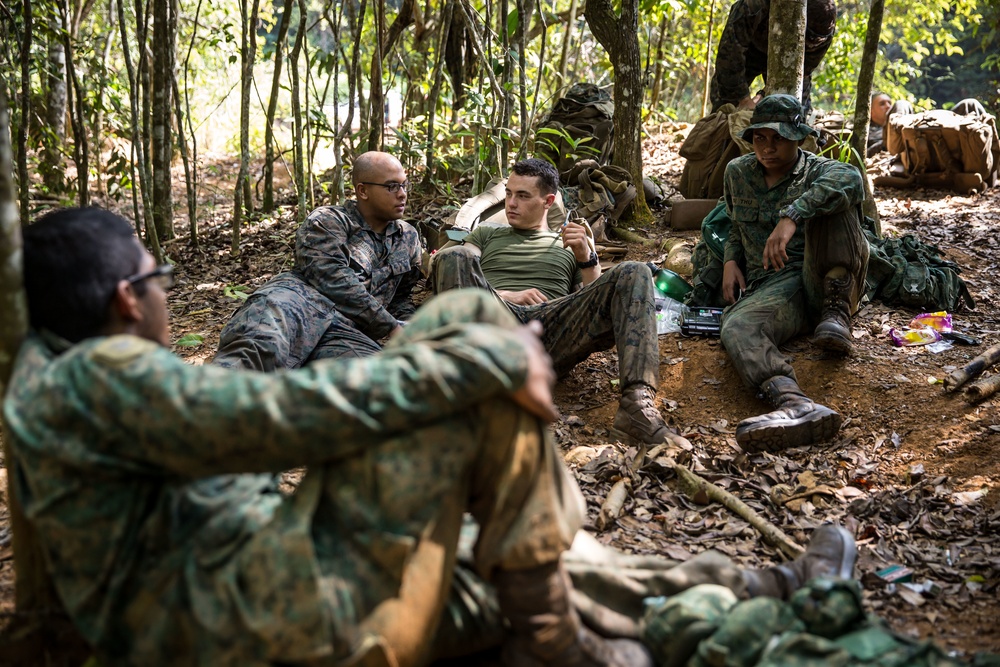 Valiant Mark 2017: U.S. Marines and SAF Navigate the Jungle