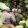 FINEX Day 2, U.S. Marines, Sailors and SAF Work Together to Attack and Defend
