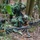 FINEX Day 2, U.S. Marines, Sailors and SAF Work Together to Attack and Defend