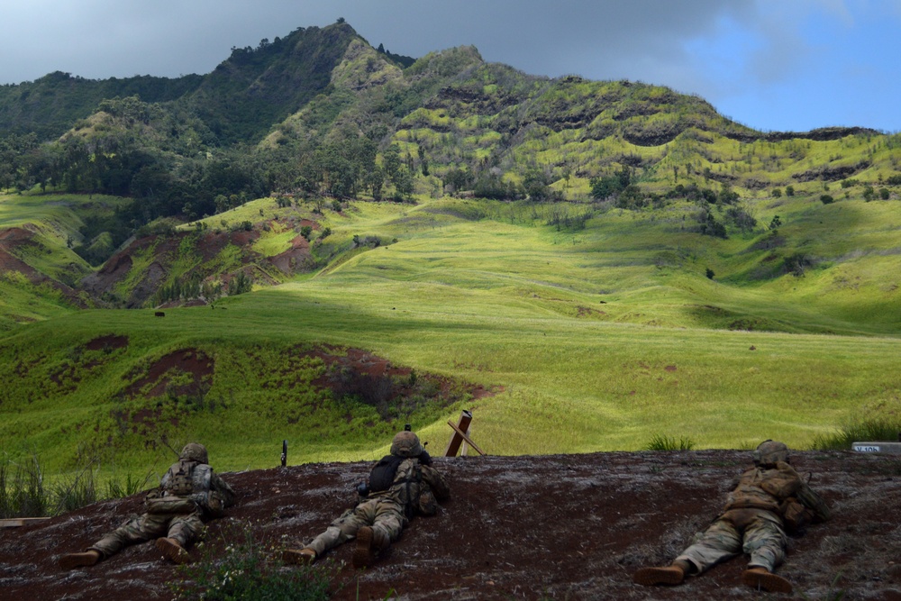 25ID conducts combined arms exercise