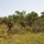 Rounds down range: 2/8 conducts squad attack