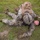 Rounds down range: 2/8 conducts squad attack
