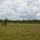 Rounds down range: 2/8 conducts squad attack