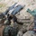 Rounds down range: 2/8 conducts squad attack