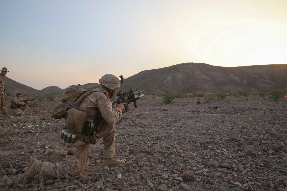 Alligator Dagger: BLT 1/5 lights up the night