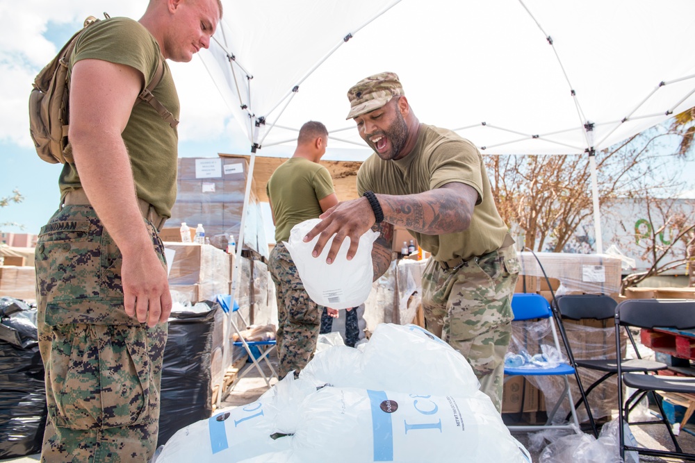 USS Iwo Jima (LDH-7) and Florida National Guardsmen from 1-124th Infantry Regiment respond to Florida Keys for Hurricane Irma relief