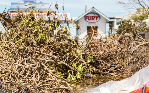 Hurricane Irma aftermath