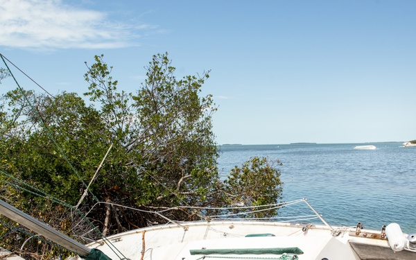 Hurricane Irma aftermath