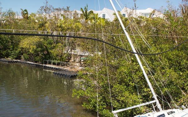 Hurricane Irma aftermath