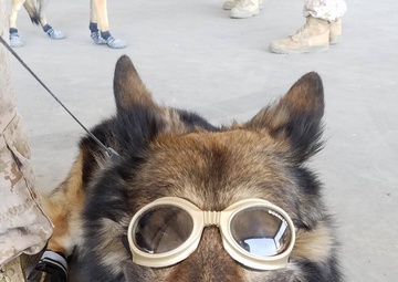 Task Force Wraith Soldiers build capability and survivability with joint training