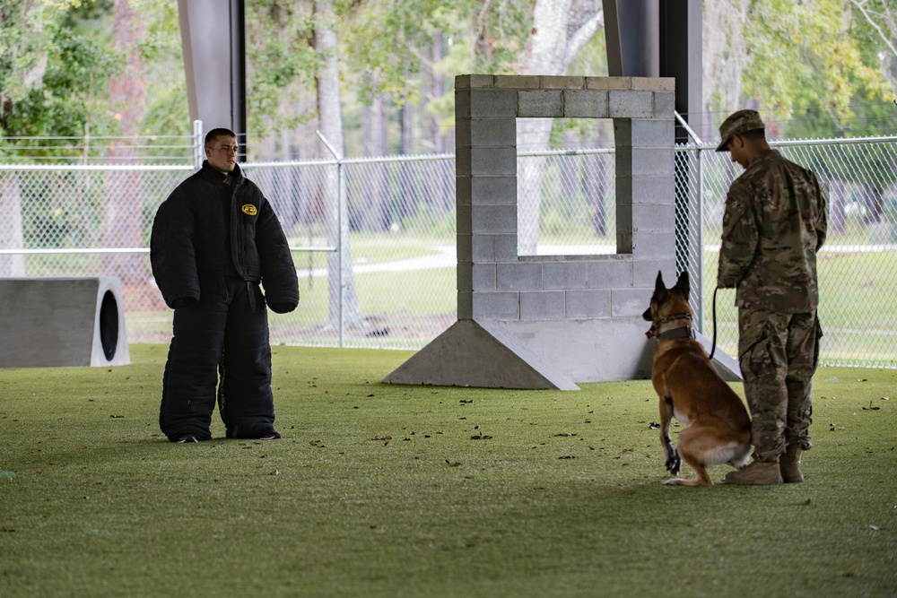 Military working dog demonstration