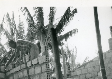 Brazil - Agriculture