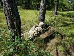 Task Force 1-28 conducts dismounted life-fire training