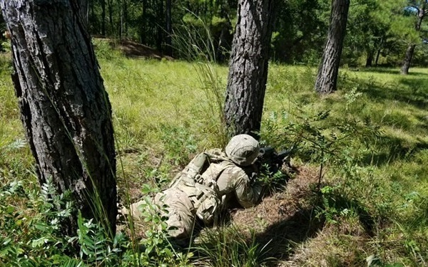Task Force 1-28 conducts dismounted life-fire training