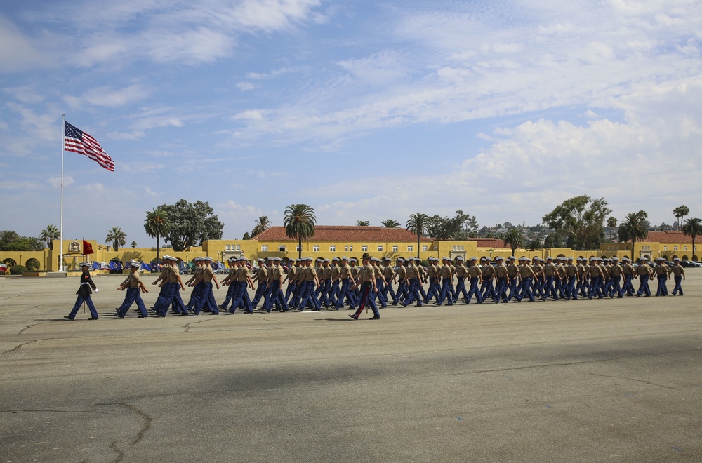 Fox Company - Graduation